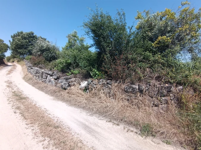 Terreno Agricola ou Rústico para Venda em Penamacor Foto 22