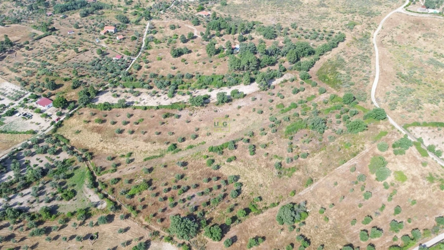 Terreno Agricola ou Rústico para Venda em Penamacor Foto 31