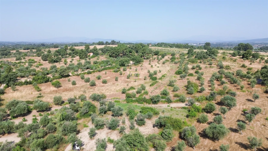 Terreno Agricola ou Rústico para Venda em Penamacor Foto 45