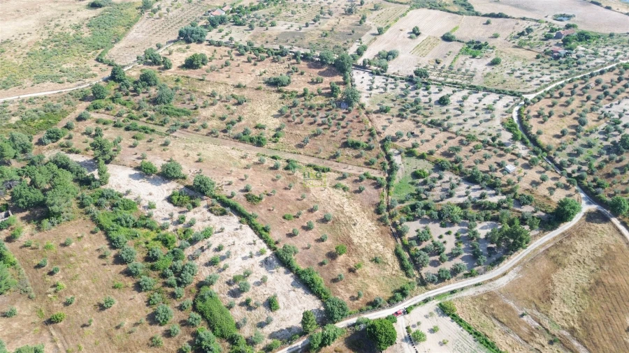 Terreno Agricola ou Rústico para Venda em Penamacor Foto 56