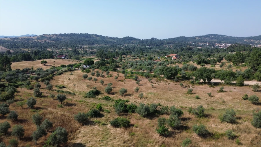 Terreno Agricola ou Rústico para Venda em Penamacor Foto 24