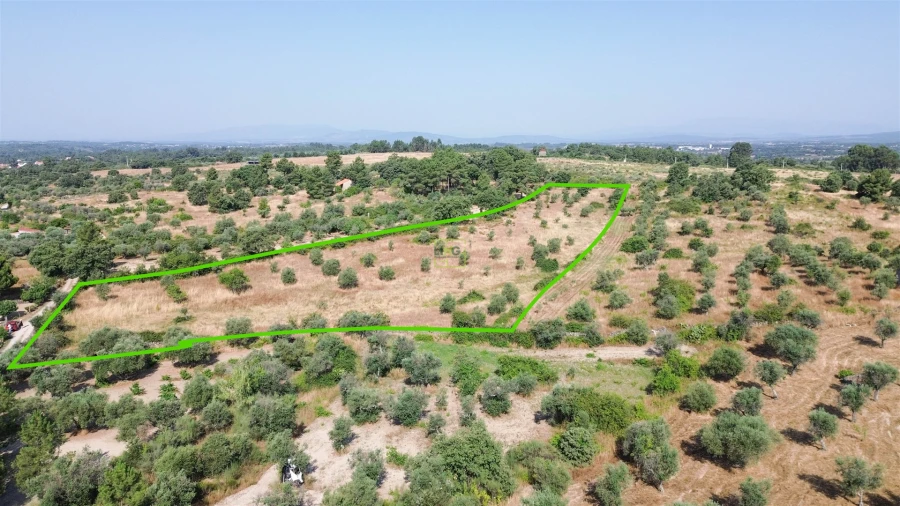 Terreno Agricola ou Rústico para Venda em Penamacor Foto 50