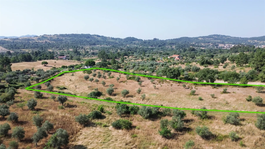 Terreno Agricola ou Rústico para Venda em Penamacor Foto 54
