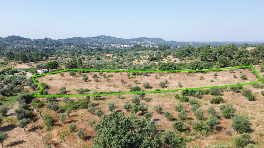 Terreno Agricola ou Rústico para Venda em Penamacor Foto 52