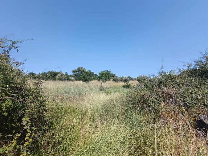 Terreno Agricola ou Rústico para Venda em Penamacor Foto 3