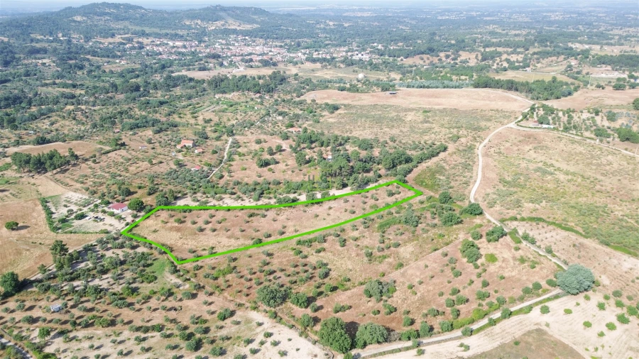 Terreno Agricola ou Rústico para Venda em Penamacor Foto 34