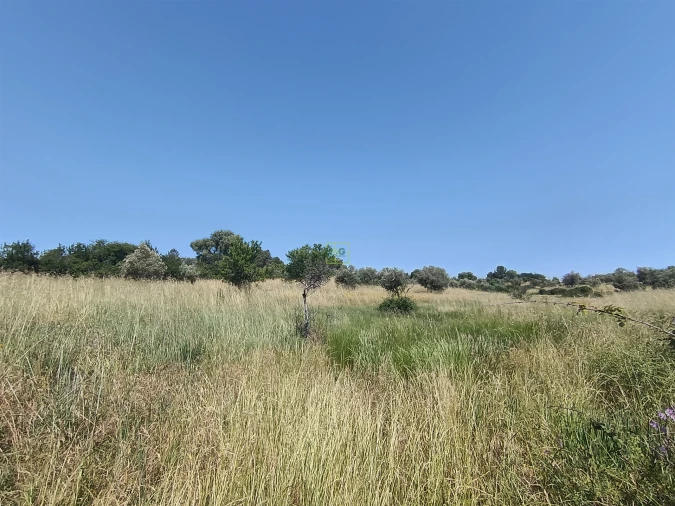 Terreno Agricola ou Rústico para Venda em Penamacor Foto 7