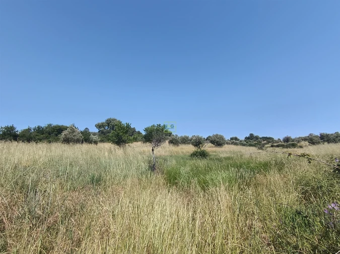 Terreno Agricola ou Rústico para Venda em Penamacor Foto 8