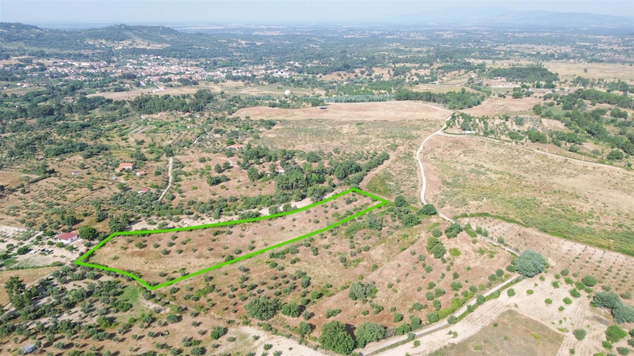 Terreno Agricola ou Rústico para Venda em Penamacor Foto 36