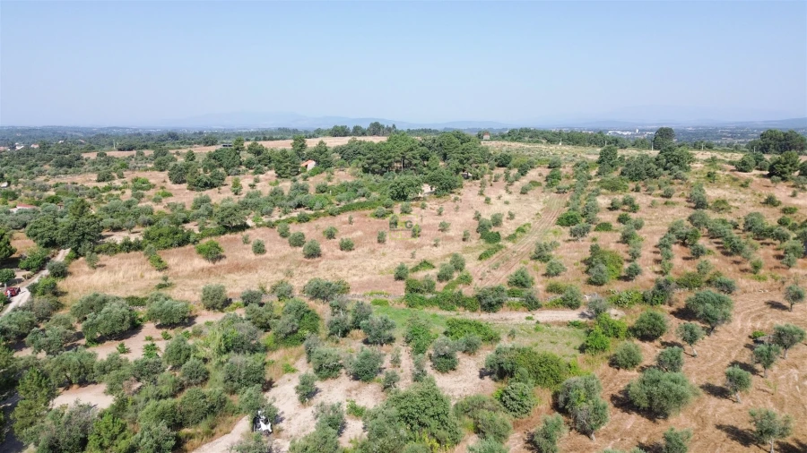 Terreno Agricola ou Rústico para Venda em Penamacor Foto 49