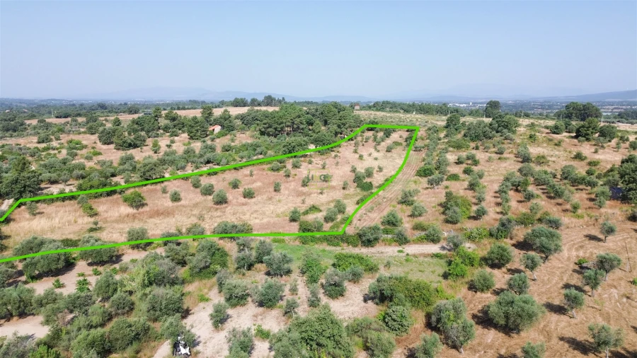 Terreno Agricola ou Rústico para Venda em Penamacor Foto 46