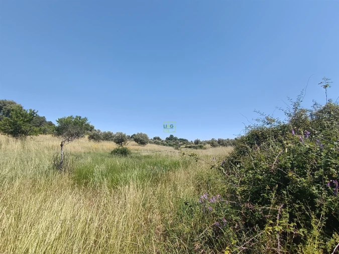 Terreno Agricola ou Rústico para Venda em Penamacor Foto 6