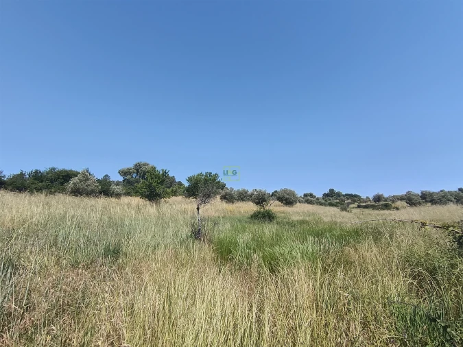 Terreno Agricola ou Rústico para Venda em Penamacor Foto 9