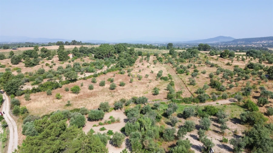 Terreno Agricola ou Rústico para Venda em Penamacor Foto 43
