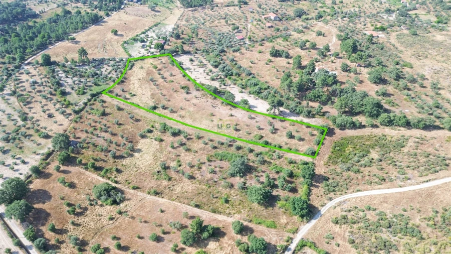 Terreno Agricola ou Rústico para Venda em Penamacor Foto 28