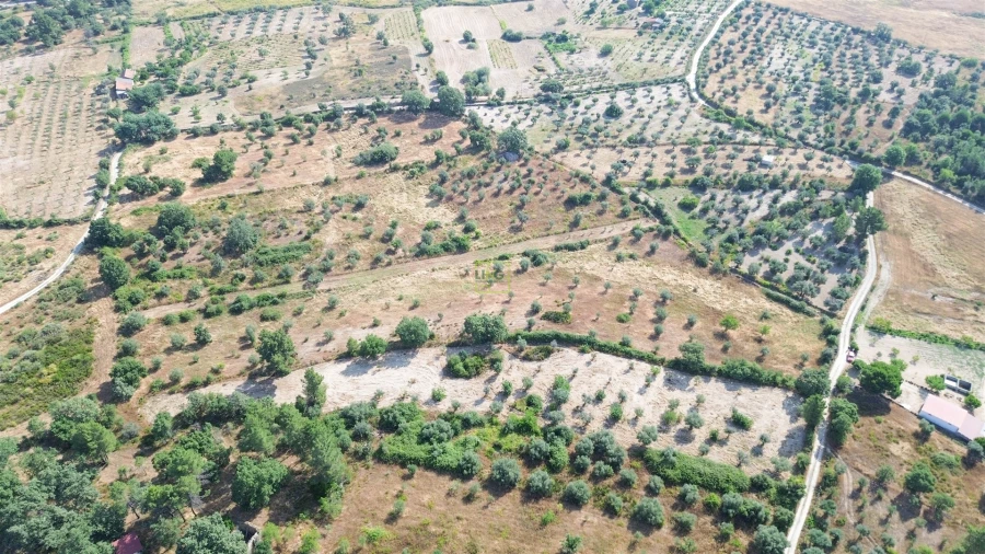 Terreno Agricola ou Rústico para Venda em Penamacor Foto 60