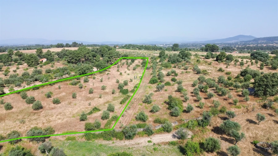 Terreno Agricola ou Rústico para Venda em Penamacor Foto 48