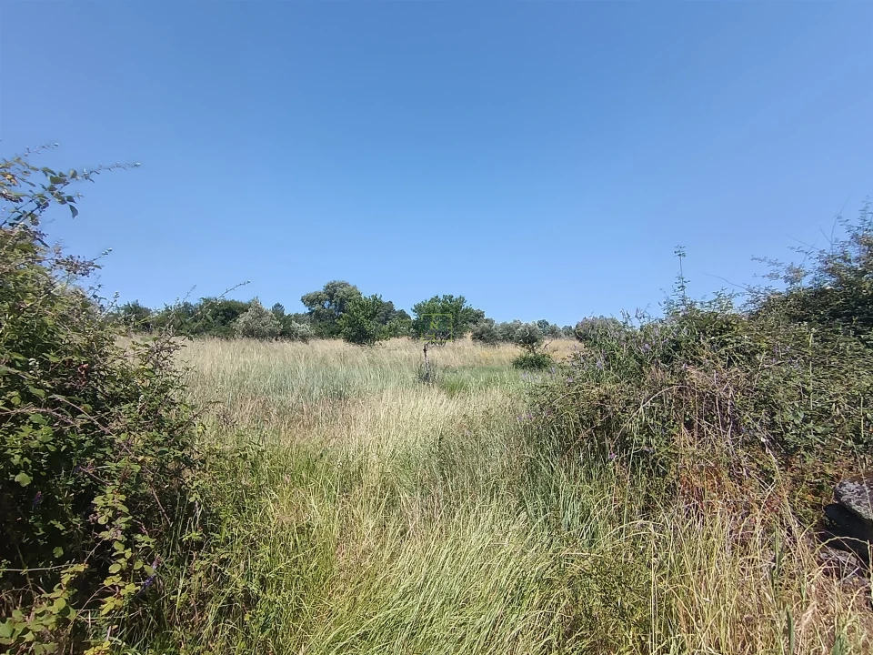 Terreno Agricola ou Rústico para Venda em Penamacor Foto 3