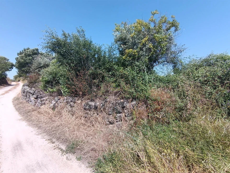 Terreno Agricola ou Rústico para Venda em Penamacor Foto 21