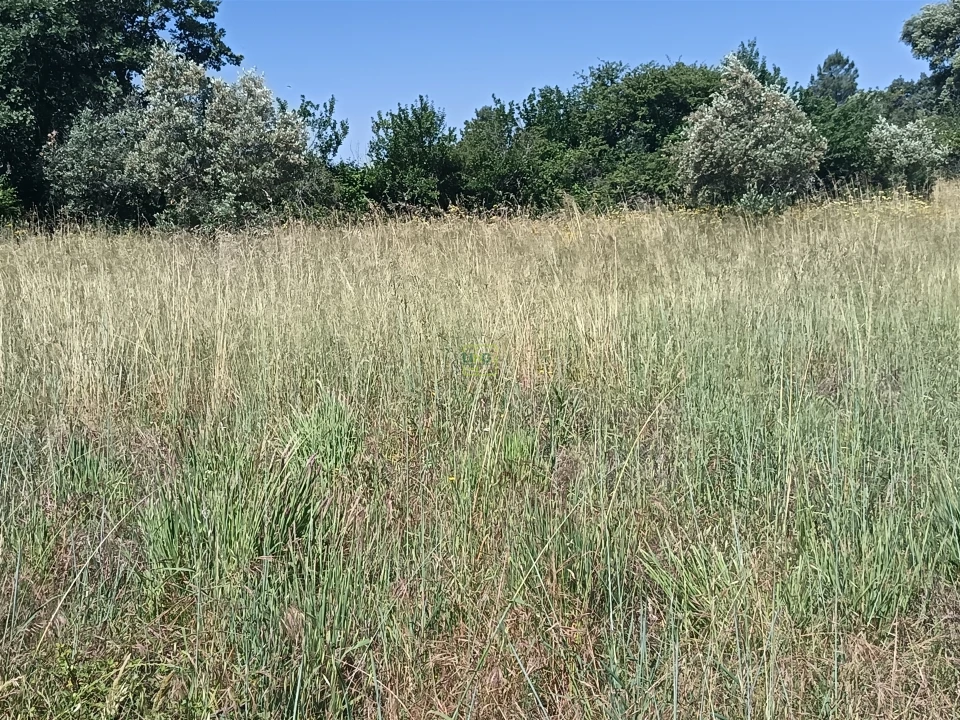 Terreno Agricola ou Rústico para Venda em Penamacor Foto 14