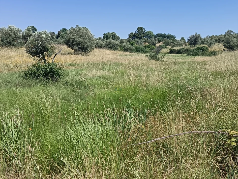 Terreno Agricola ou Rústico para Venda em Penamacor Foto 17