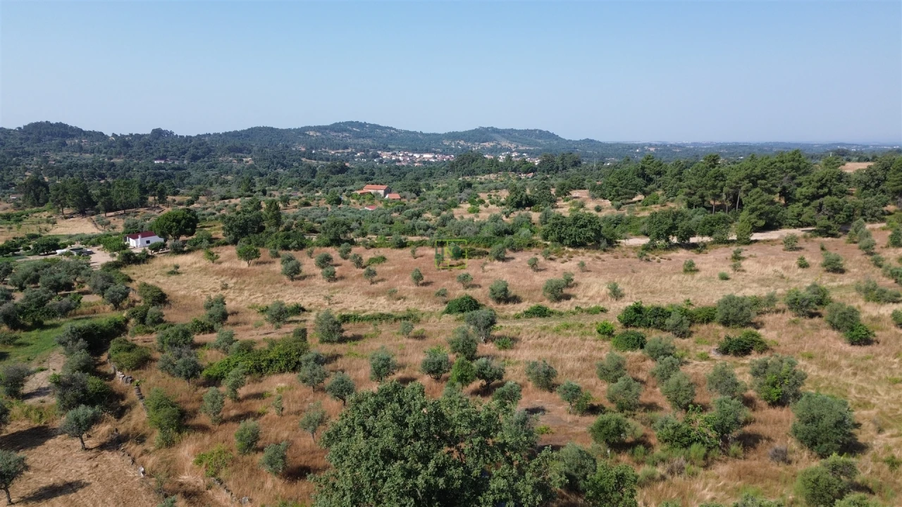 Terreno Agricola ou Rústico para Venda em Penamacor Foto 23