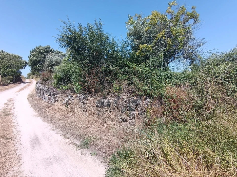 Terreno Agricola ou Rústico para Venda em Penamacor Foto 19
