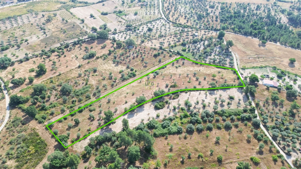 Terreno Agricola ou Rústico para Venda em Penamacor Foto 63