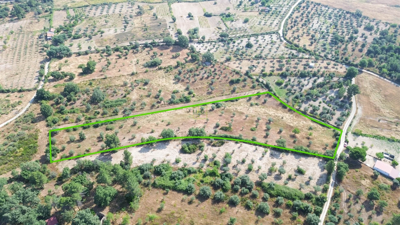 Terreno Agricola ou Rústico para Venda em Penamacor Foto 61