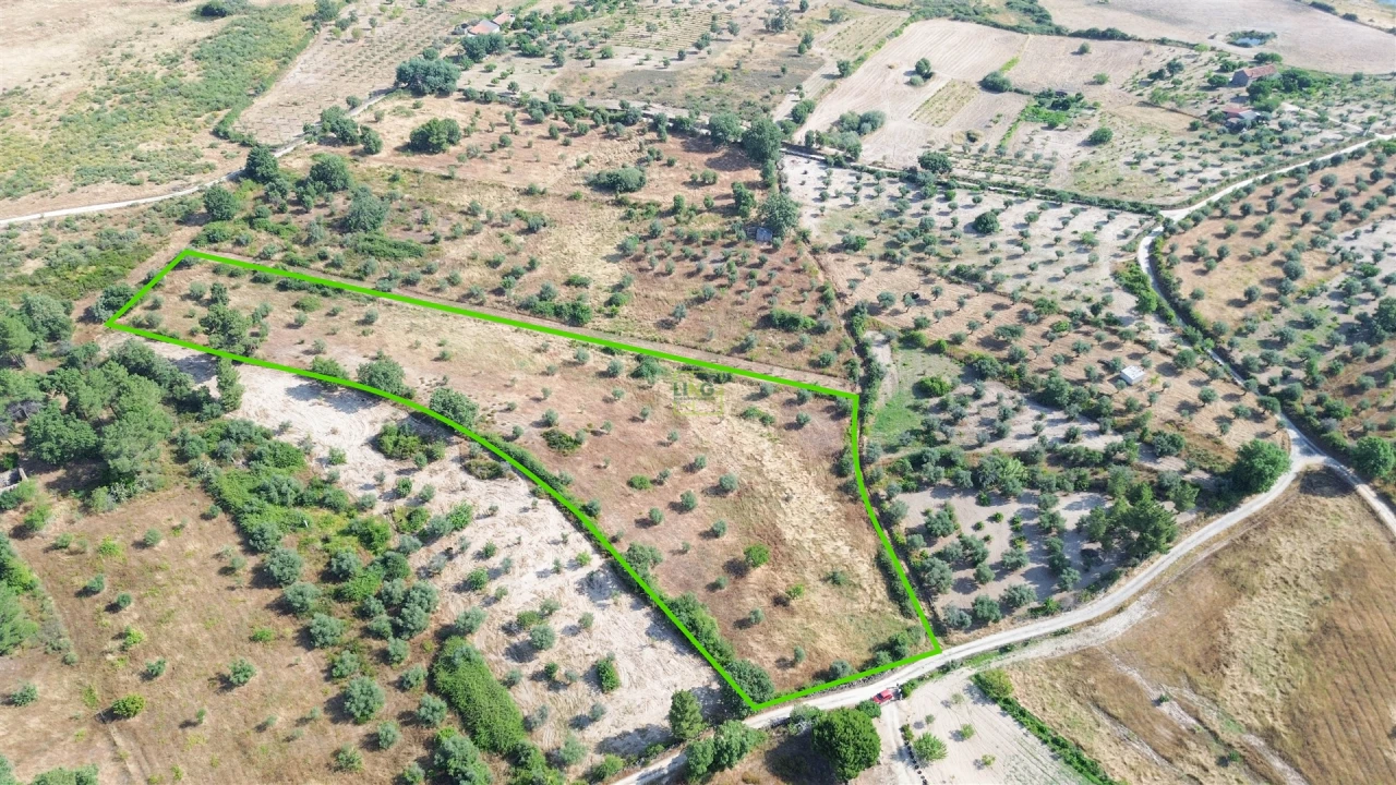 Terreno Agricola ou Rústico para Venda em Penamacor Foto 57