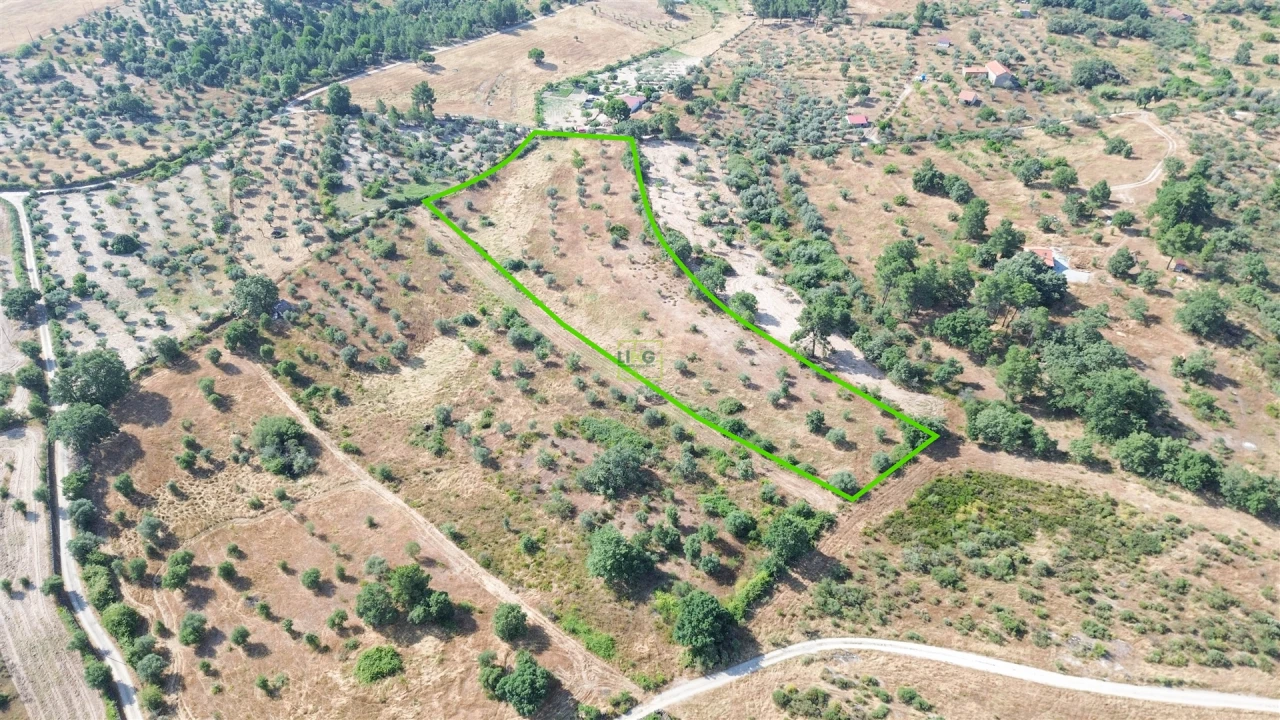 Terreno Agricola ou Rústico para Venda em Penamacor Foto 26