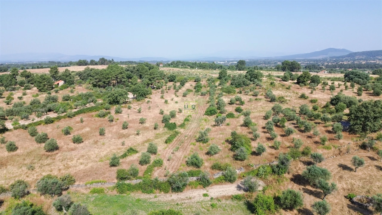 Terreno Agricola ou Rústico para Venda em Penamacor Foto 47