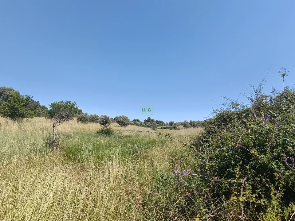 Terreno Agricola ou Rústico para Venda em Penamacor Foto 6
