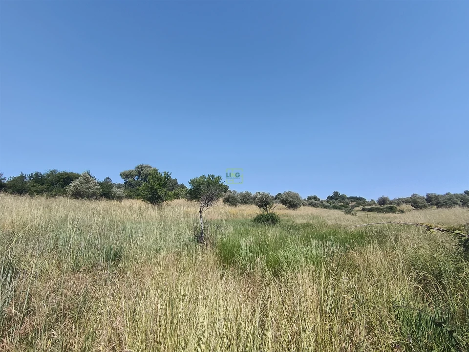 Terreno Agricola ou Rústico para Venda em Penamacor Foto 9
