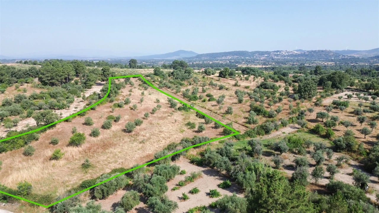 Terreno Agricola ou Rústico para Venda em Penamacor Foto 42
