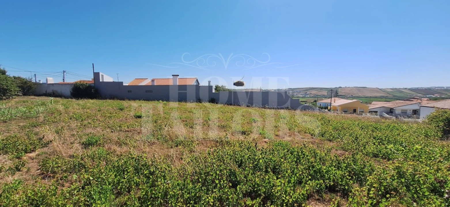 Terreno para Venda em São Pedro da Cadeira Foto 9