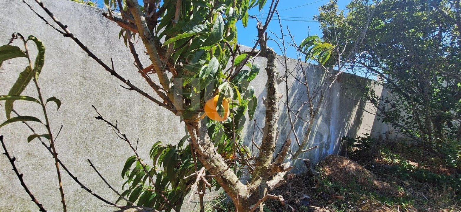 Terreno para Venda em São Pedro da Cadeira Foto 16