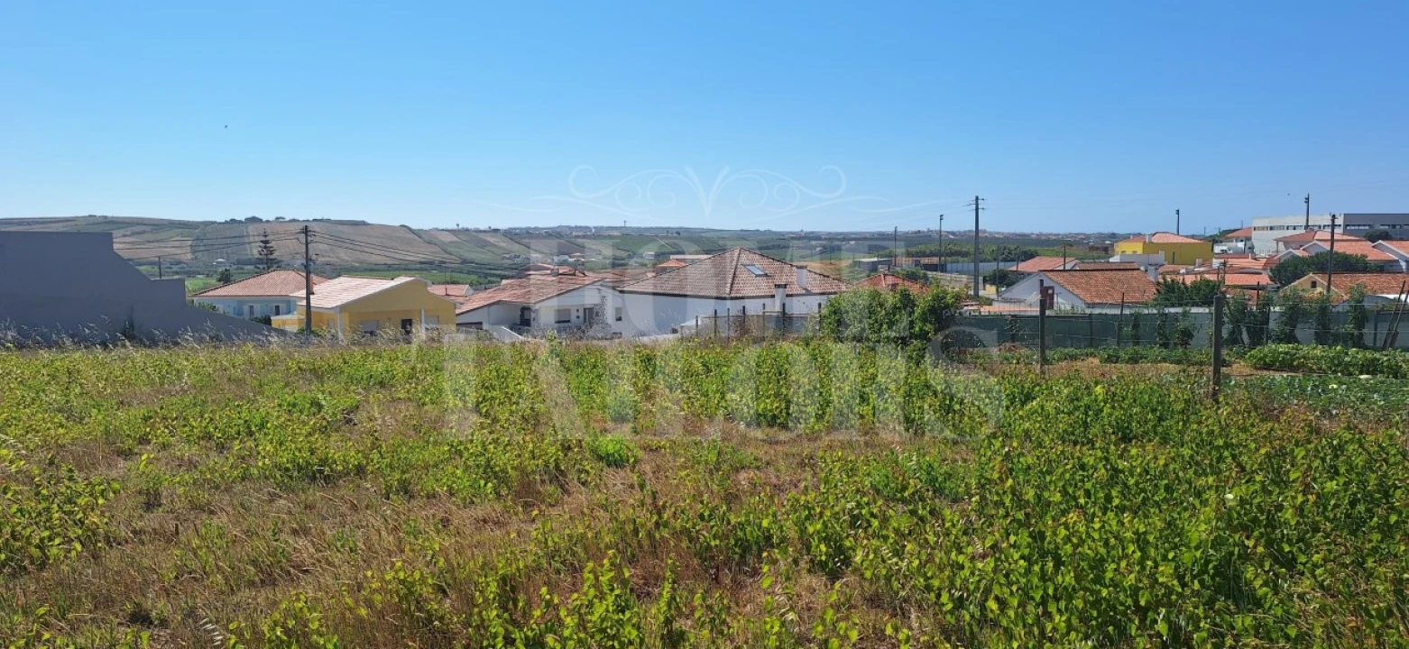 Terreno para Venda em São Pedro da Cadeira Foto 6