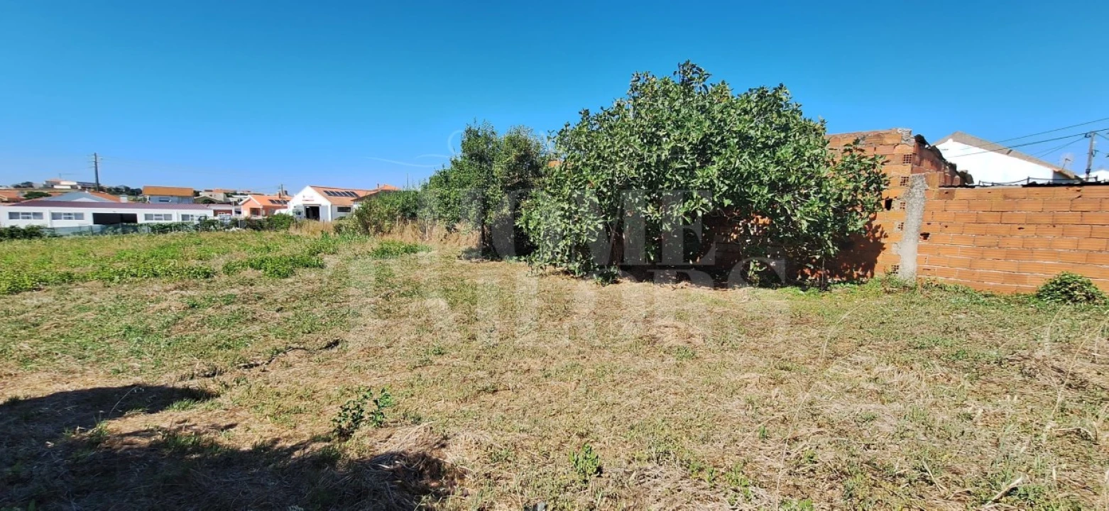 Terreno para Venda em São Pedro da Cadeira Foto 12