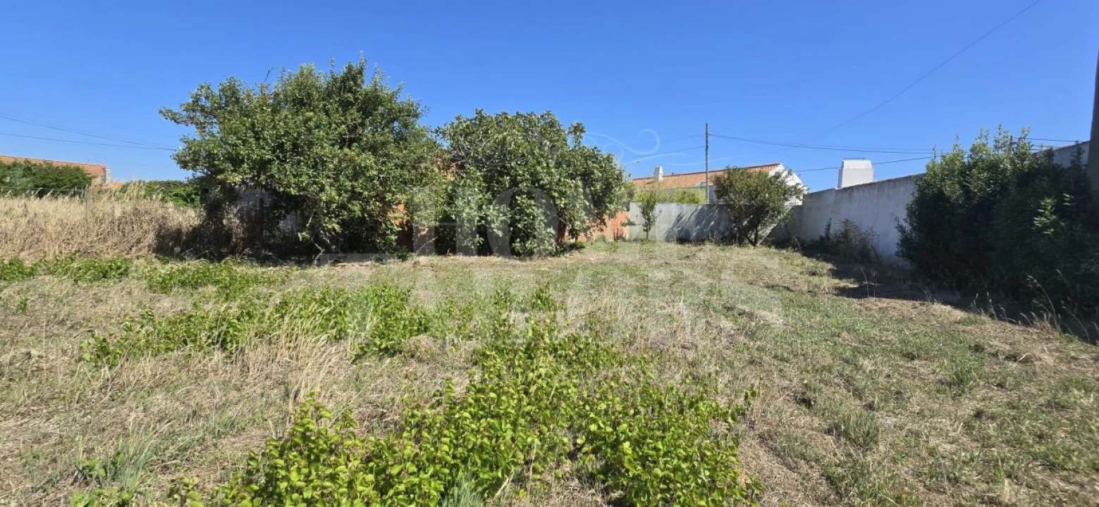 Terreno para Venda em São Pedro da Cadeira Foto 17