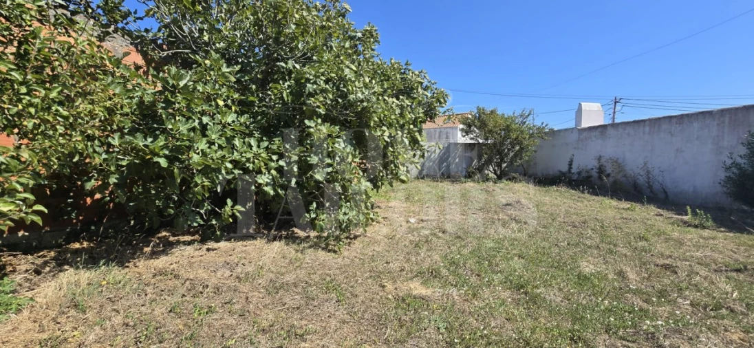 Terreno para Venda em São Pedro da Cadeira Foto 8