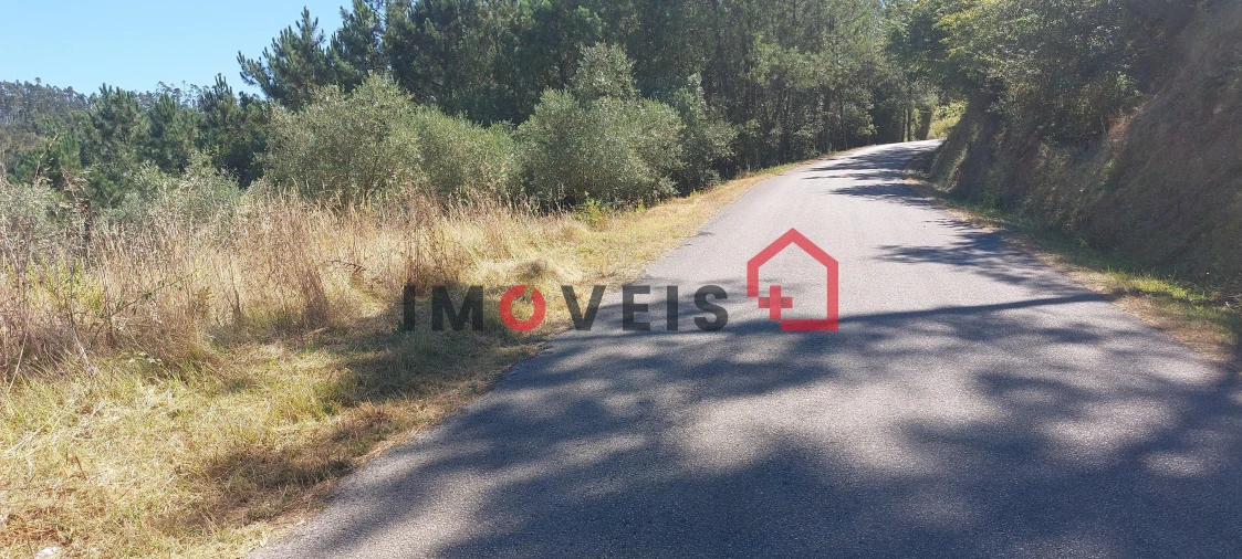 Terreno para Venda em Gondemaria e Olival Foto 3