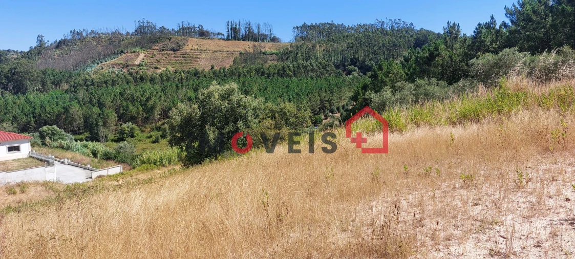 Terreno para Venda em Gondemaria e Olival Foto 4
