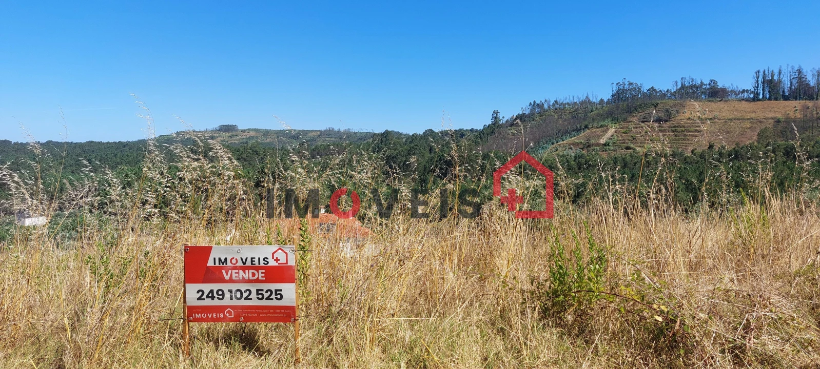 Terreno para Venda em Gondemaria e Olival Foto 2