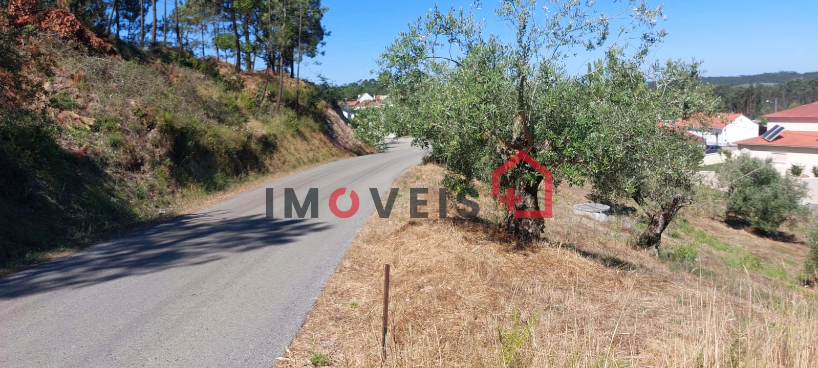 Terreno para Venda em Gondemaria e Olival Foto 5