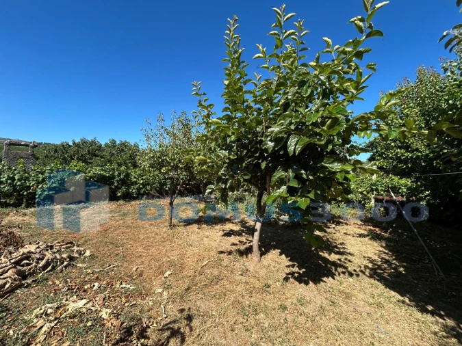 Moradia para Venda em Parada de Pinhão Foto 48