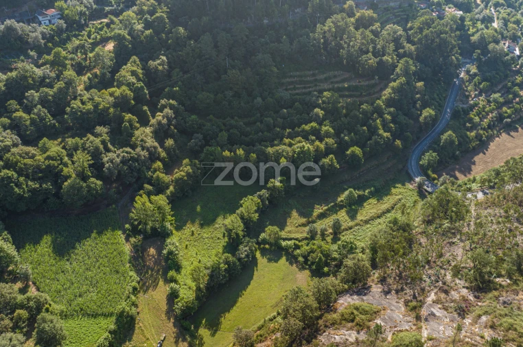 Terreno para Venda em Vilela, Seramil e Paredes Secas Foto 9