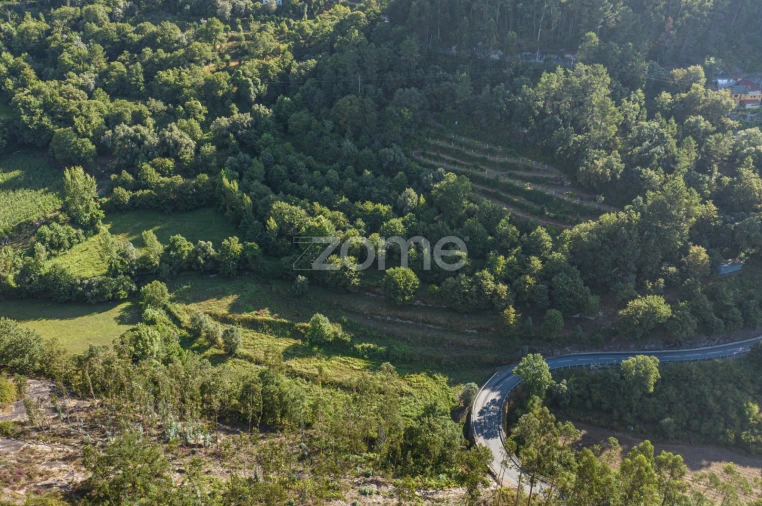 Terreno para Venda em Vilela, Seramil e Paredes Secas Foto 10