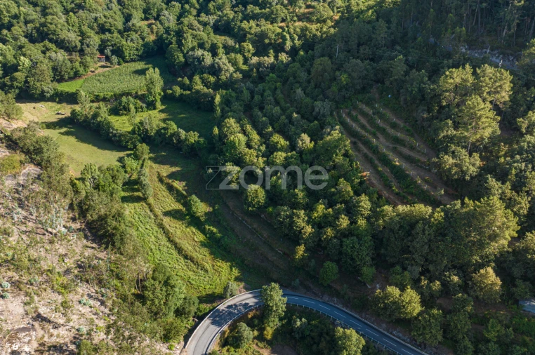 Terreno para Venda em Vilela, Seramil e Paredes Secas Foto 11