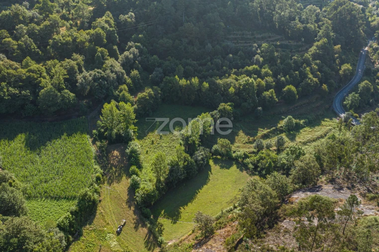Terreno para Venda em Vilela, Seramil e Paredes Secas Foto 1